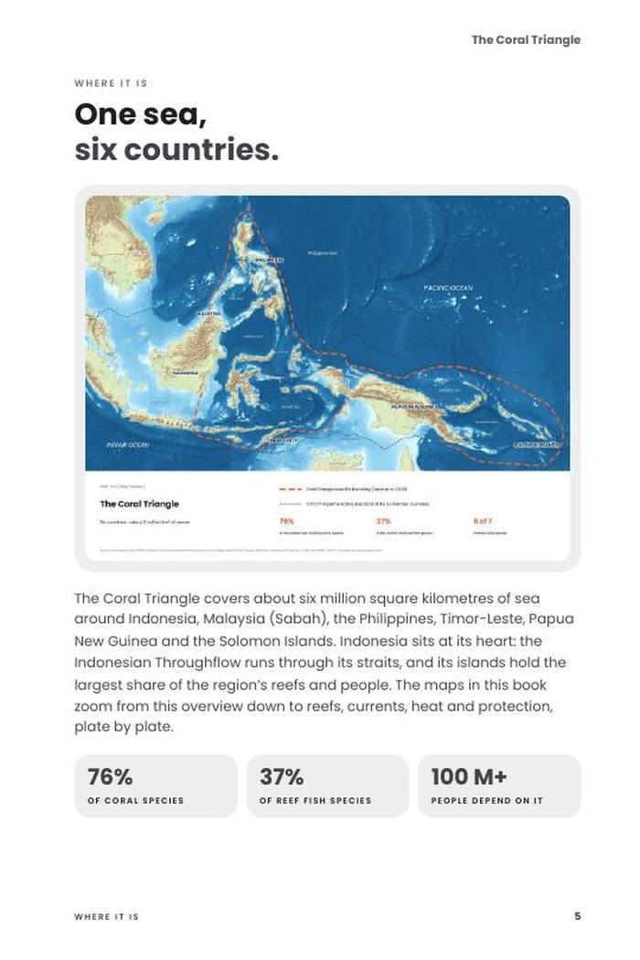 Preview page 5 of The Coral Triangle