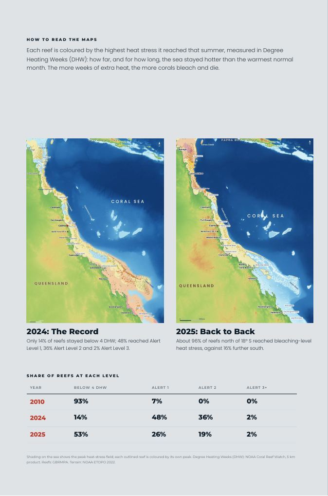 A page from The Great Barrier Reef