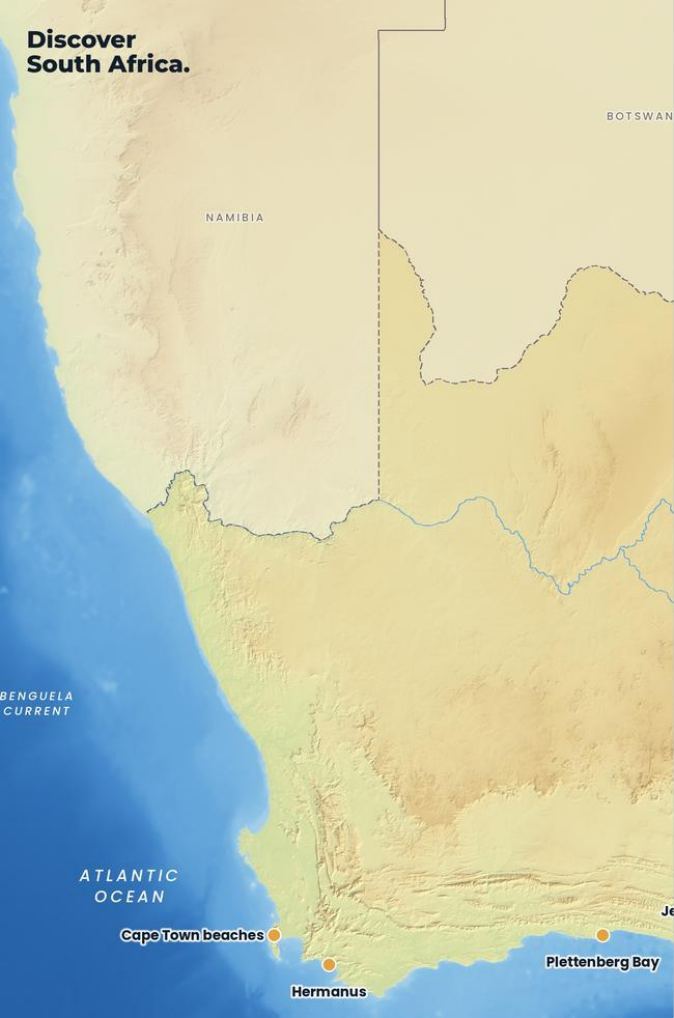 A page from South Africa