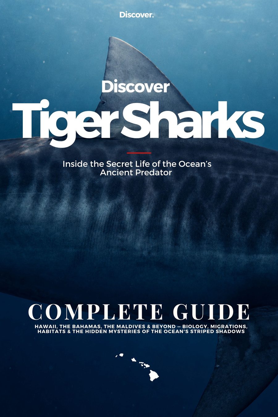 Cover of Tiger Sharks, Discover Tiger Sharks